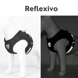 Coleira Peitoral Ajustável Para Cães e Gatos